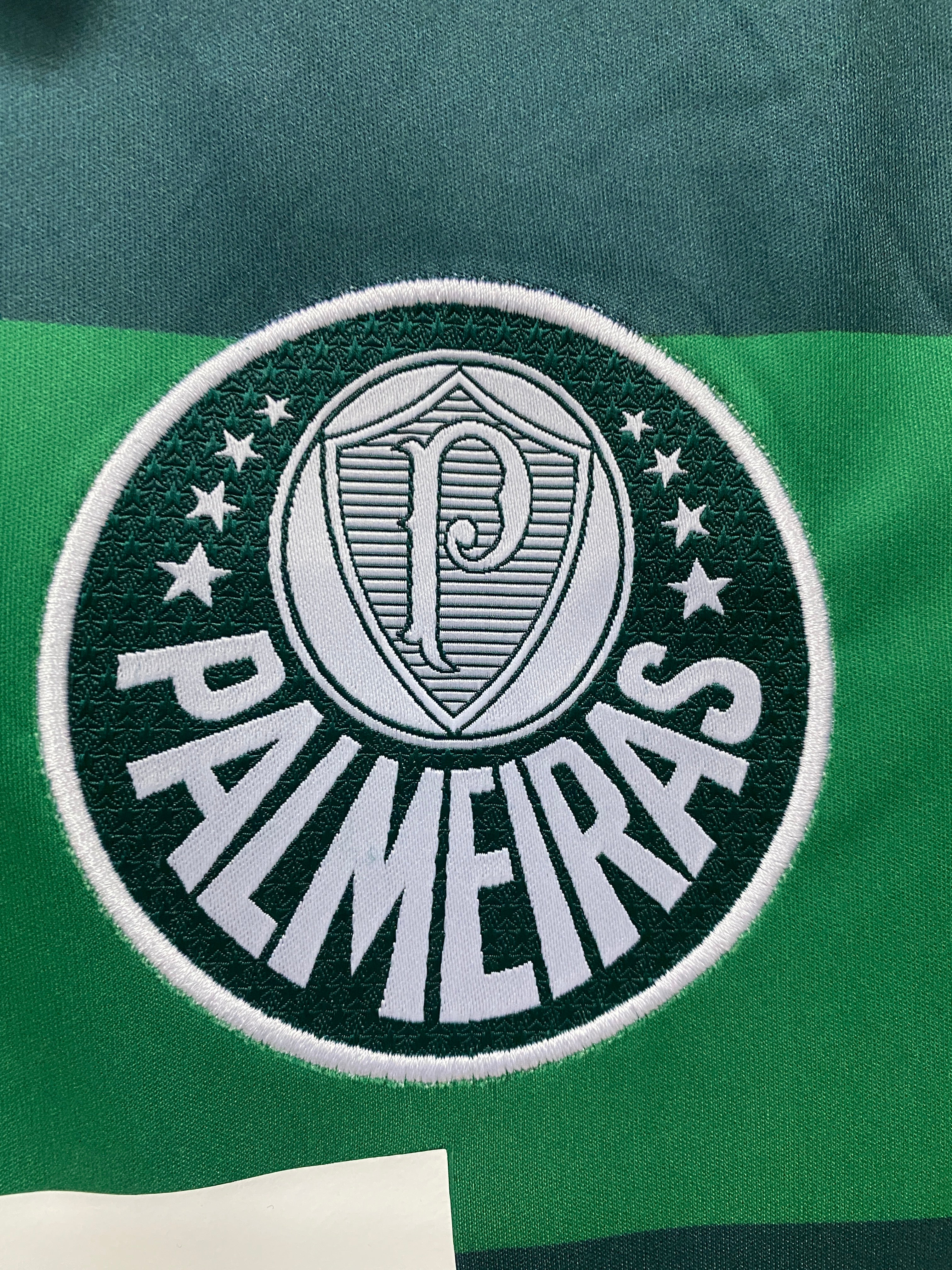 Retrô -  Palmeiras 2010/11 fiat